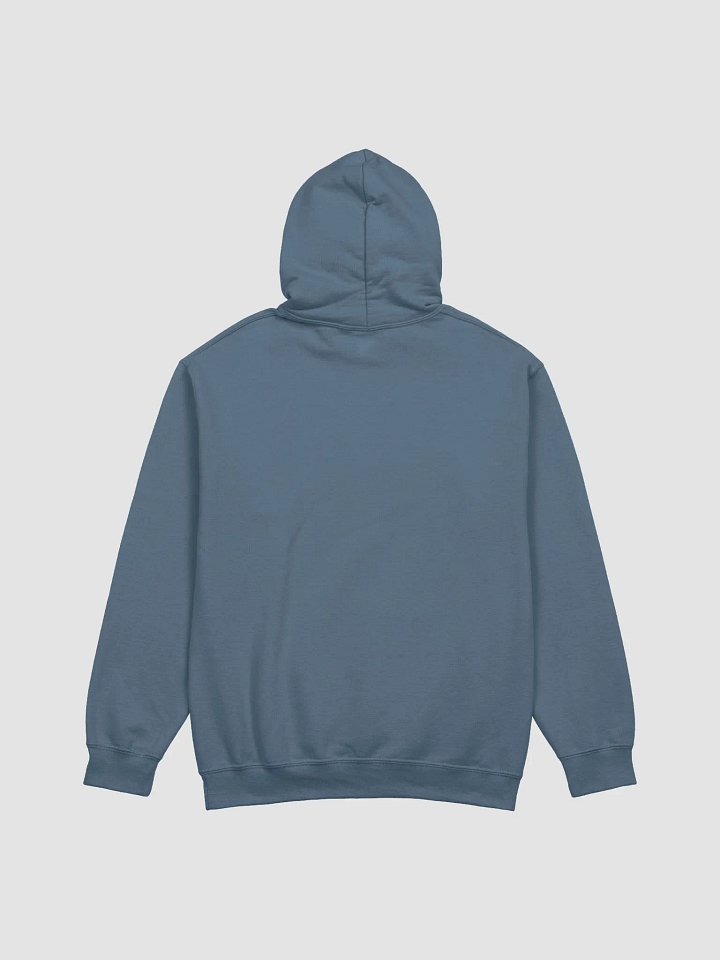 OSA Agent Undercover Hoodie (Light) product image (16)