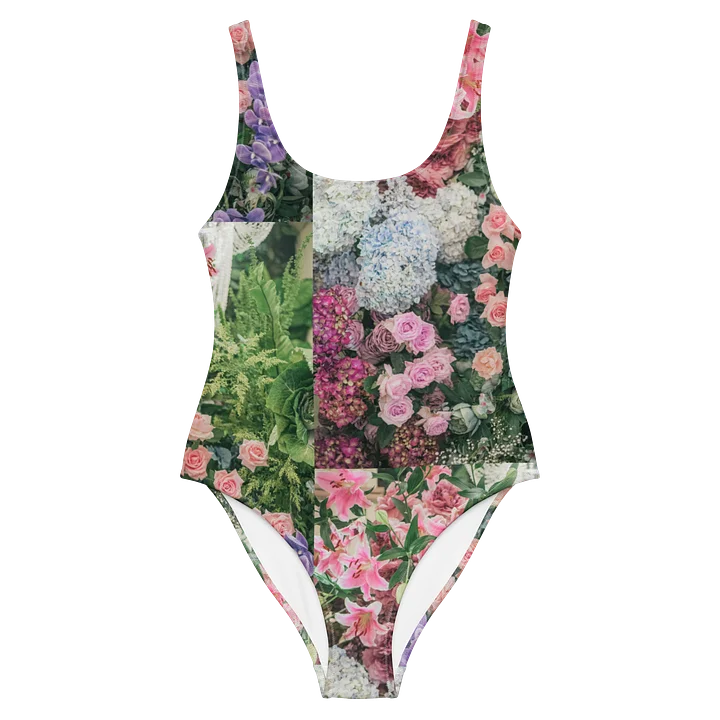 Reverie One-Piece product image (2)