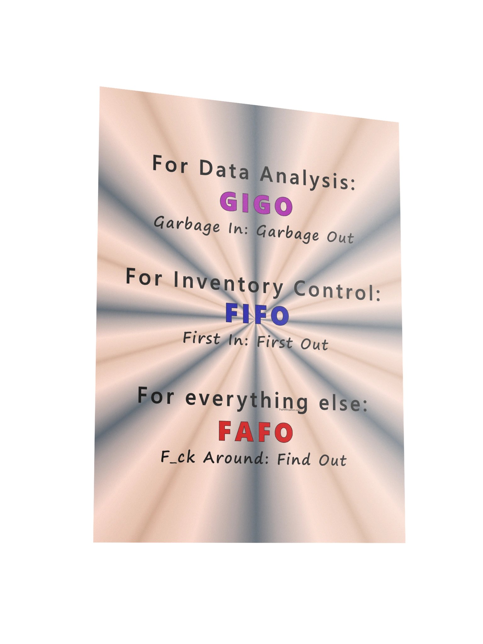 GIGO FIFO FAFO Poster product image (6)