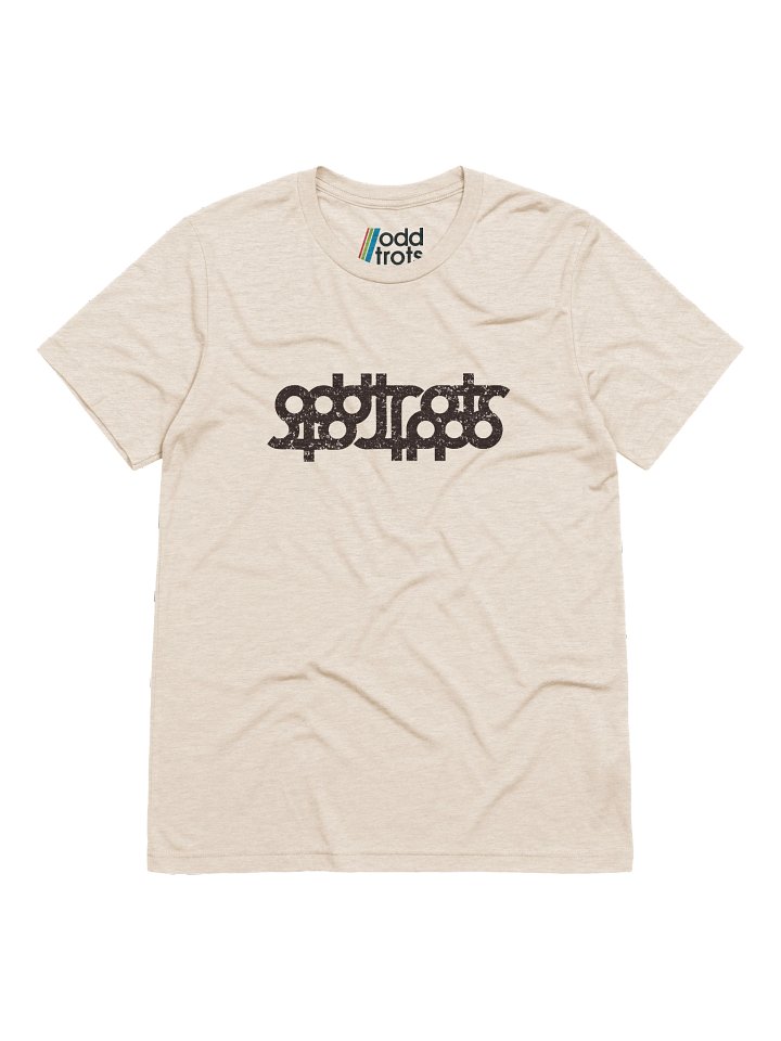Indecipherable Triblend Tee product image (1)