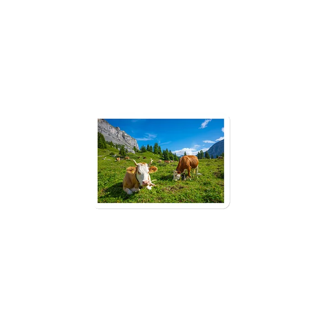 Swiss Farmer Animals