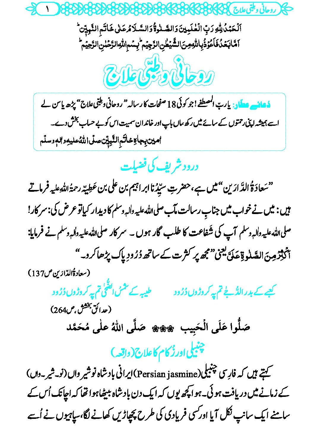 Rohani Aur Tibbi Ilaj product image (2)