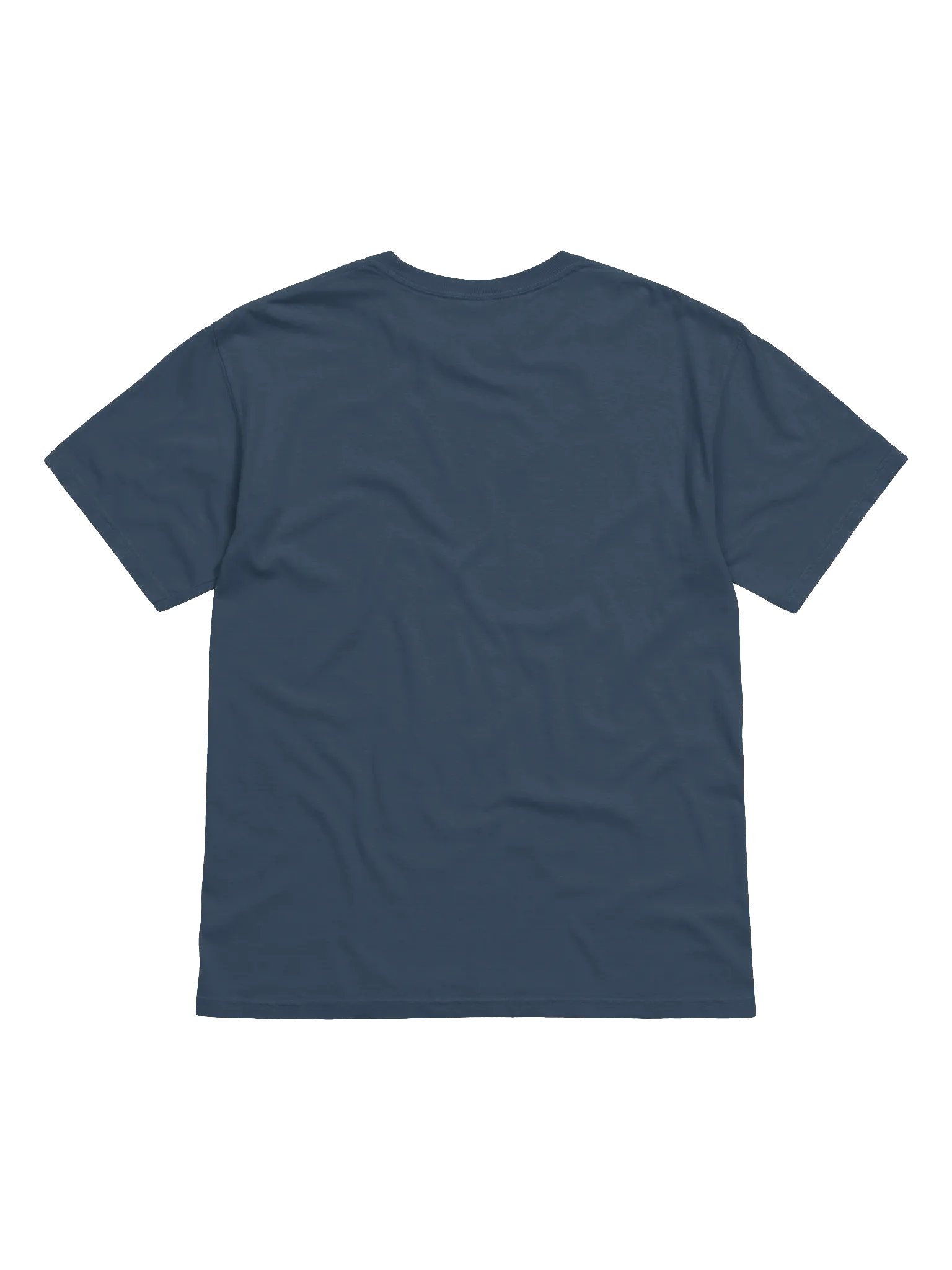 Wasteland Wanderers CC Tee product image (2)