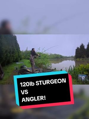 The FULL Vid is on my Y T Chan!  #fishing #fishingvideos #fishingtiktoks #sturgeon 