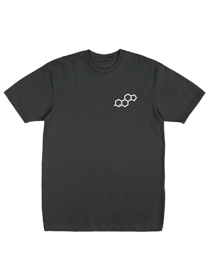 TAF PROTO-TYPE / TESTOSTERONE / T-SHIRT product image (1)