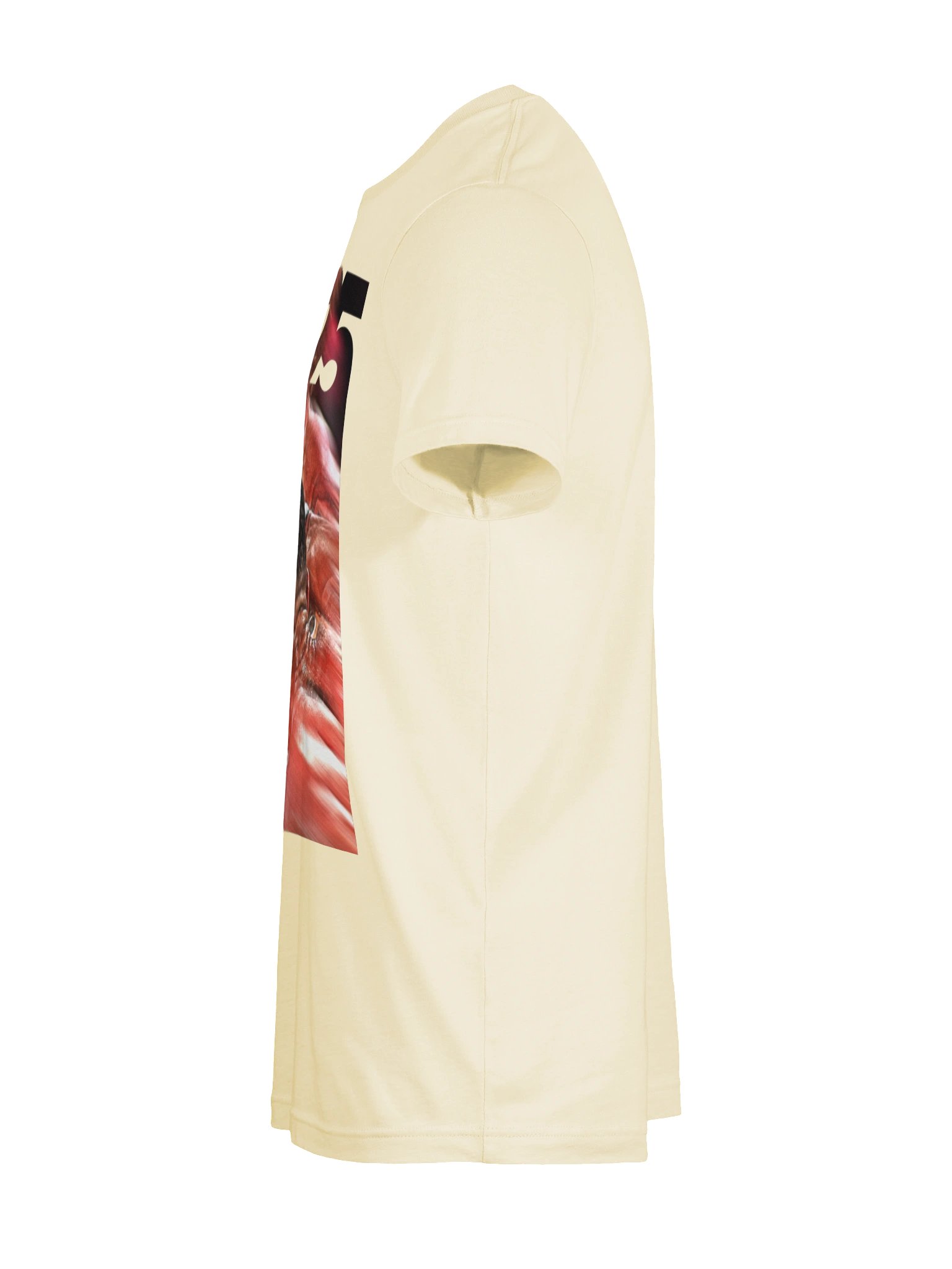 2025 product image (9)