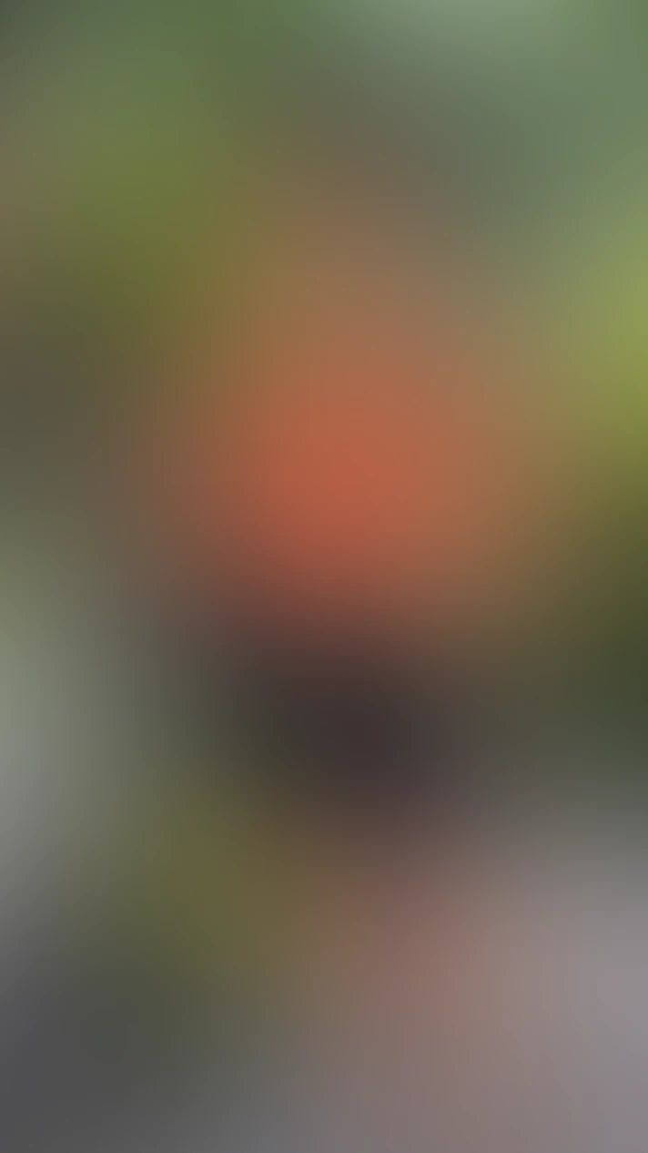 Video thumbnail background