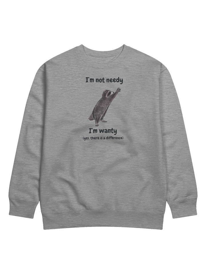 "I’m Not Needy, I’m Wanty" Funny Raccoon Sweater product image (1)