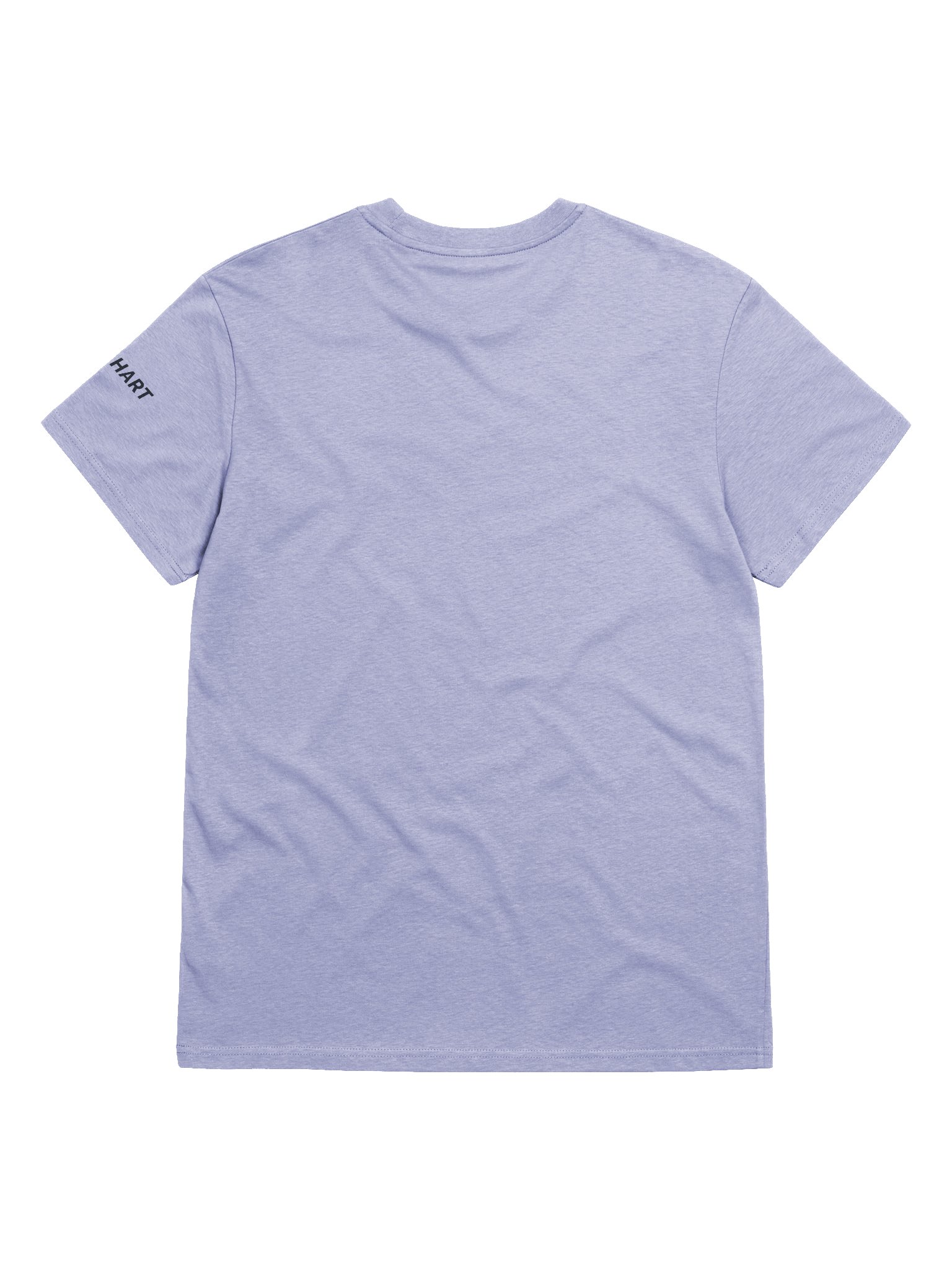The Source of Strength T-Shirt product image (2)
