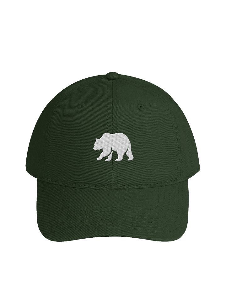 Logo Low Profile Cap product image (1)