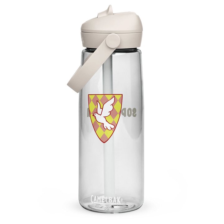 CamelBak Water Bottle product image (1)