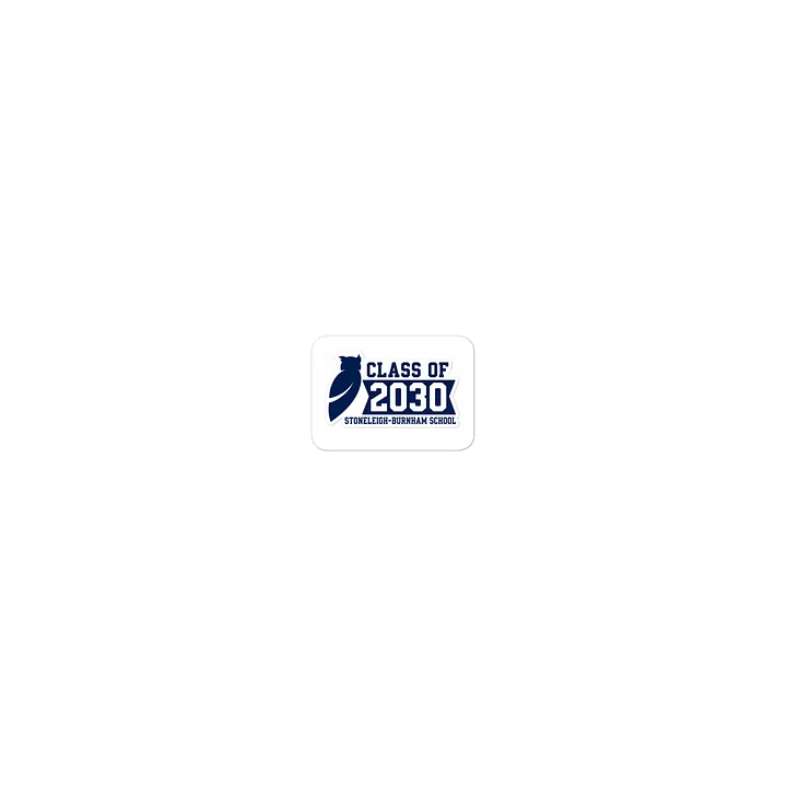 Class of 2030 Owl School Sticker product image (1)