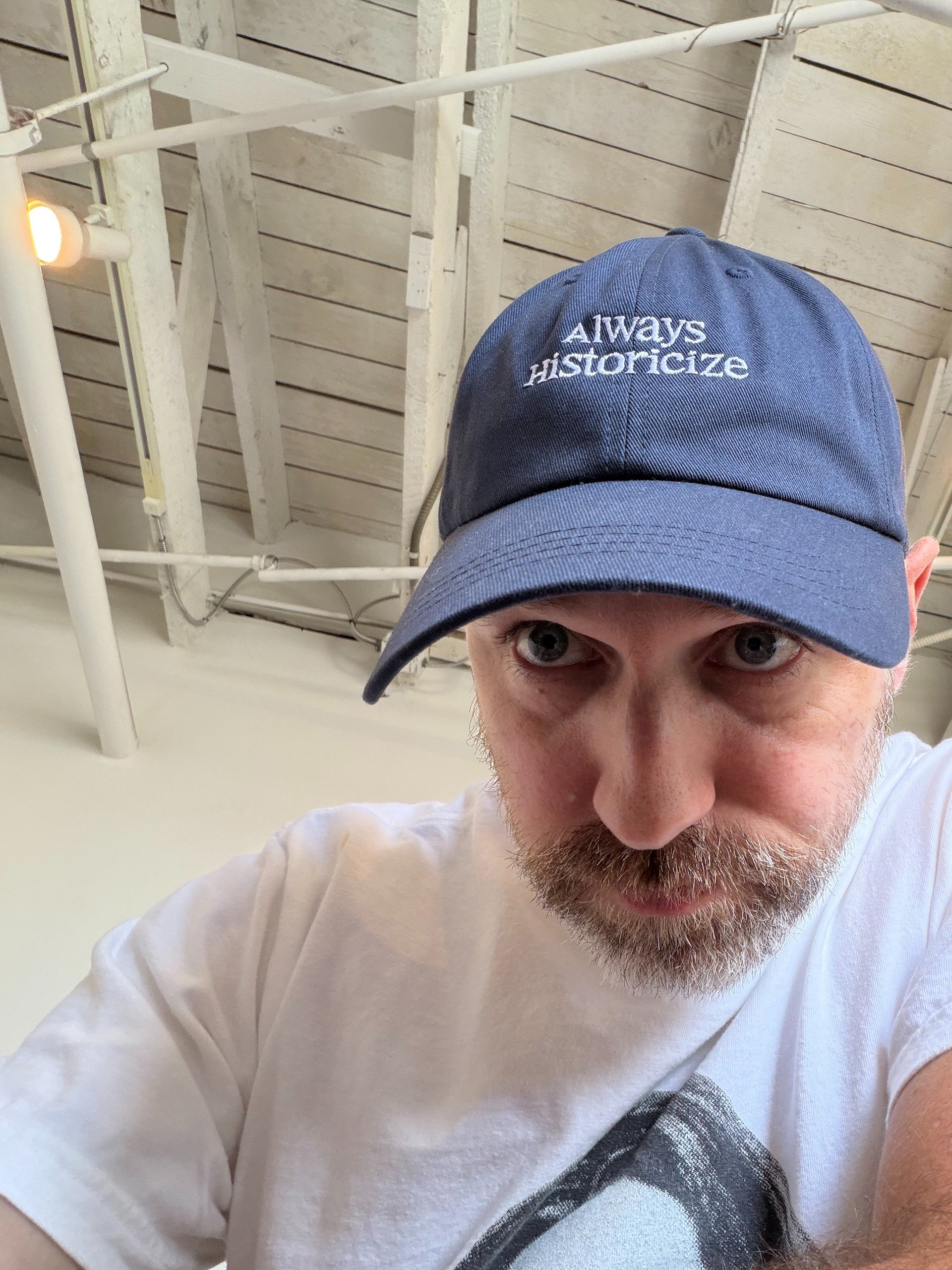 Always Historicize Dad Hat product image (4)
