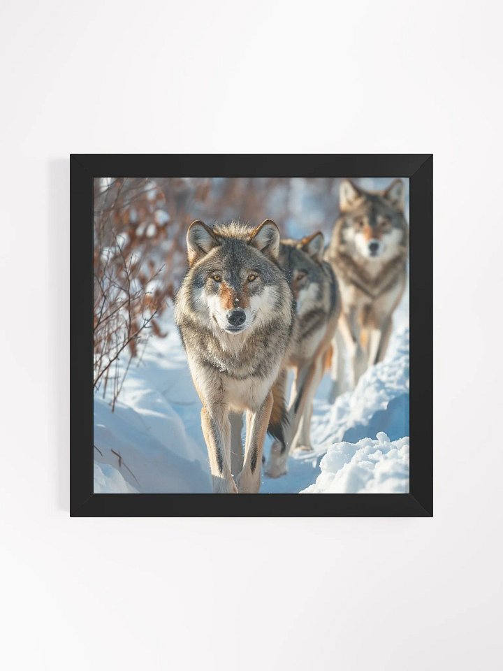 Wolf Pack in Snow: Majestic Winter Scene product image (1)