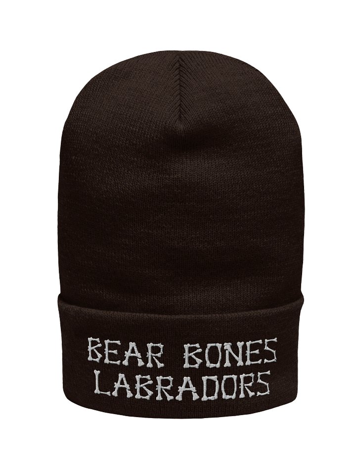 Beanie product image (1)
