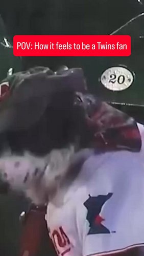 The Minnesota Twins fan experience, portrayed by a dog...

#minnesotatwins #minnesota #mlb