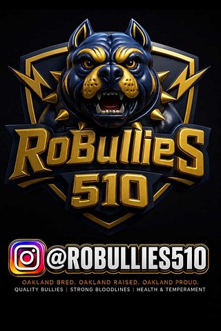 robullies510