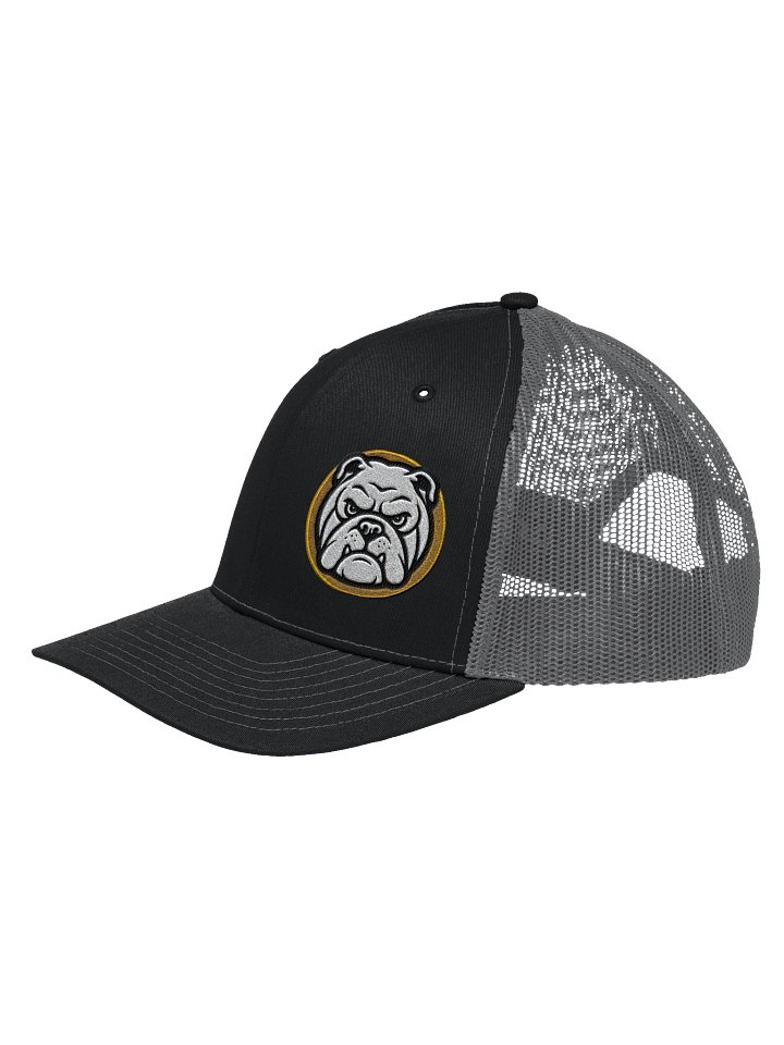Trucker Hat- Offset Logo product image (2)