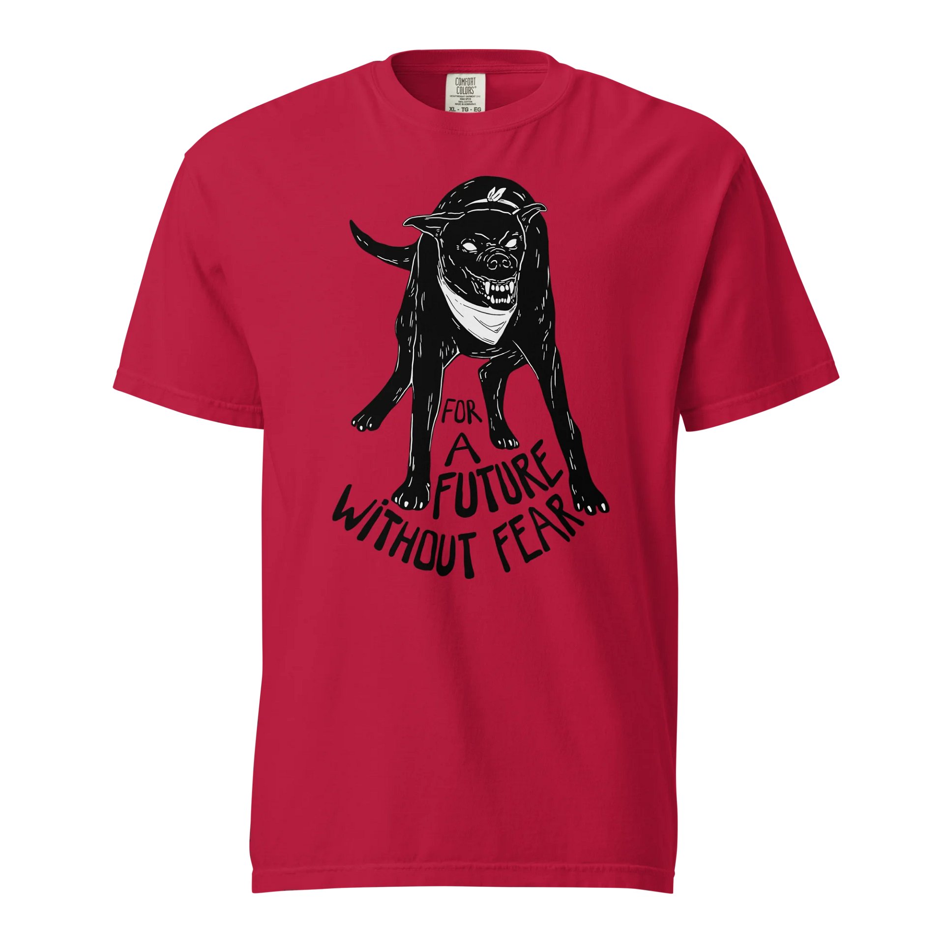For a Future Without Fear product image (37)