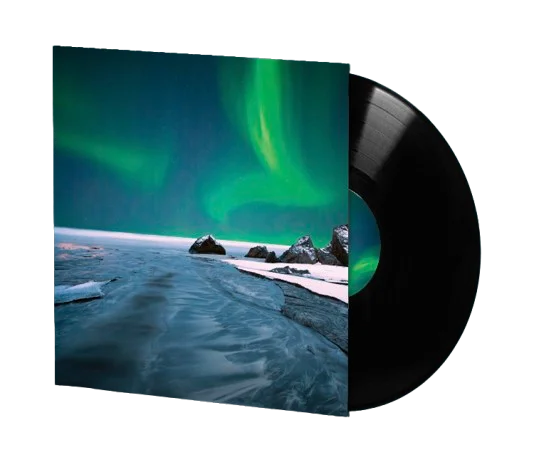The Tundra 12" Vinyl product image (1)