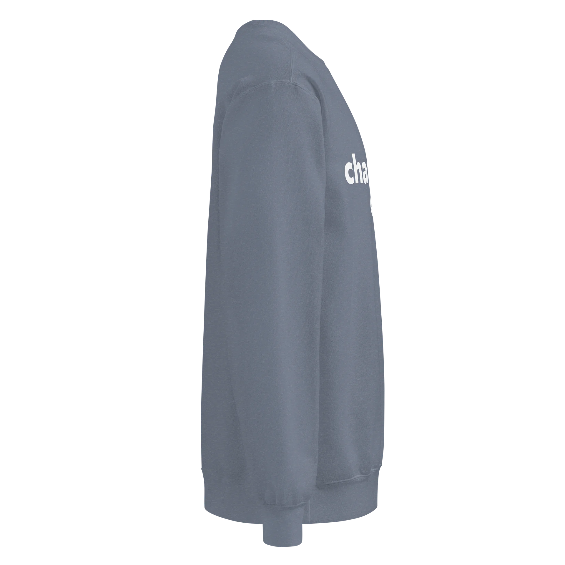 charleston dad sweatshirt product image (38)