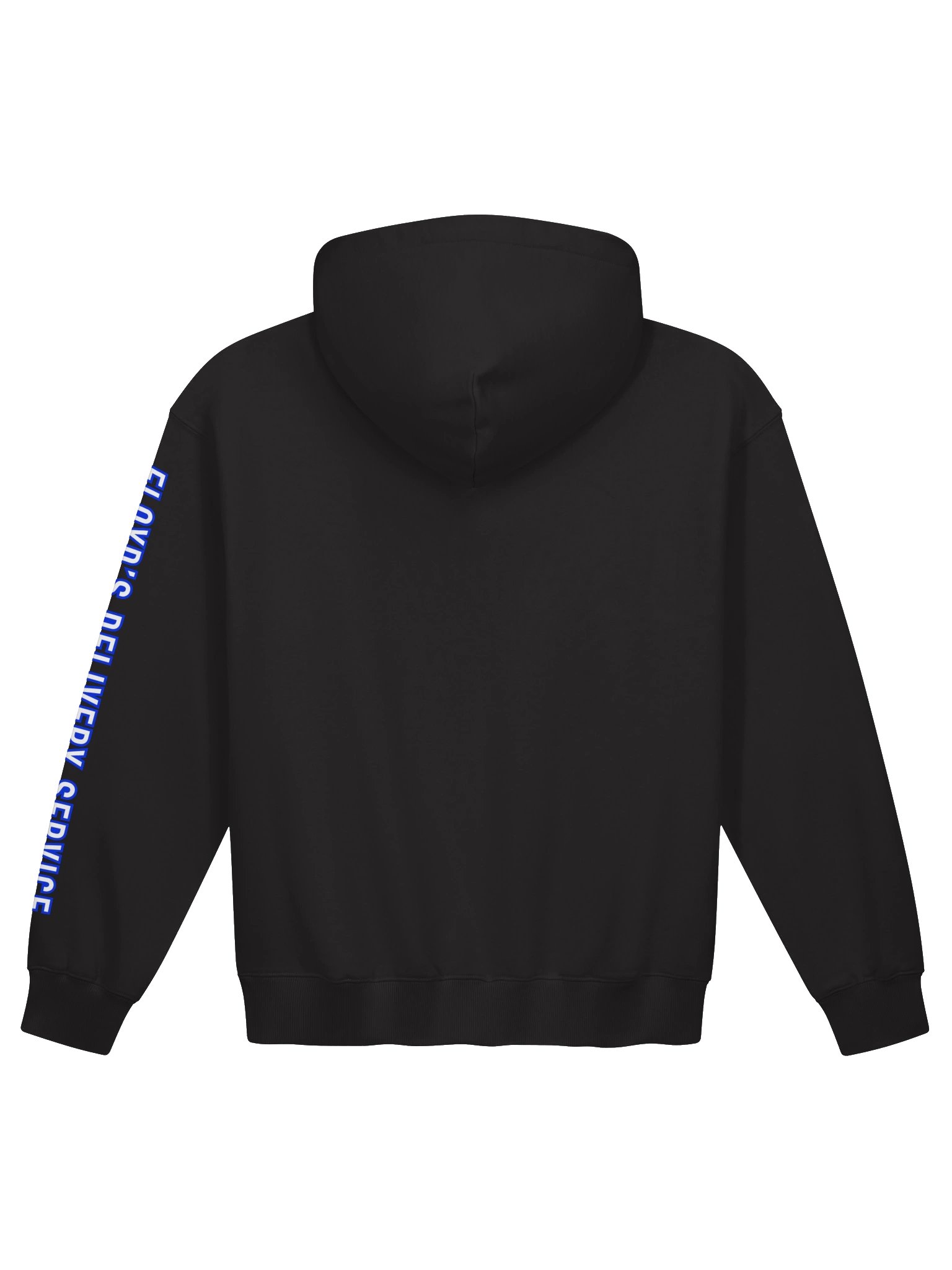 FDS Hoodie product image (2)