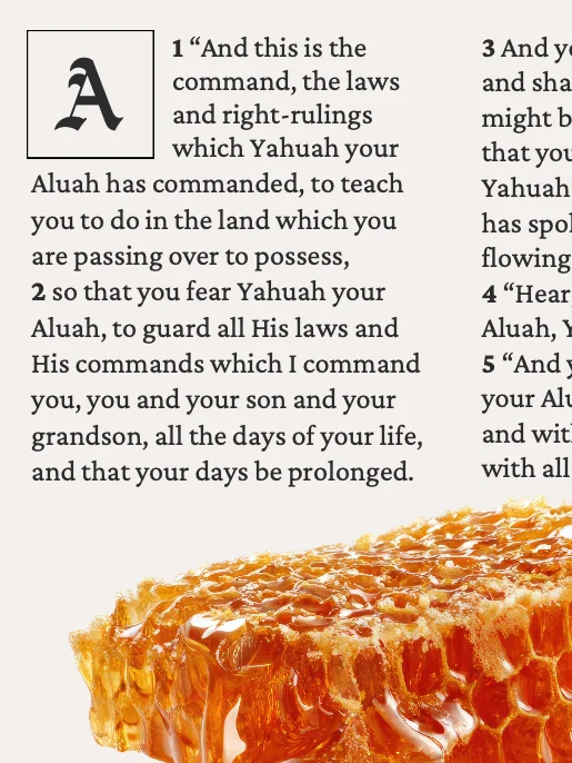 Newspaper Shema Yisra'El Poster product image (2)