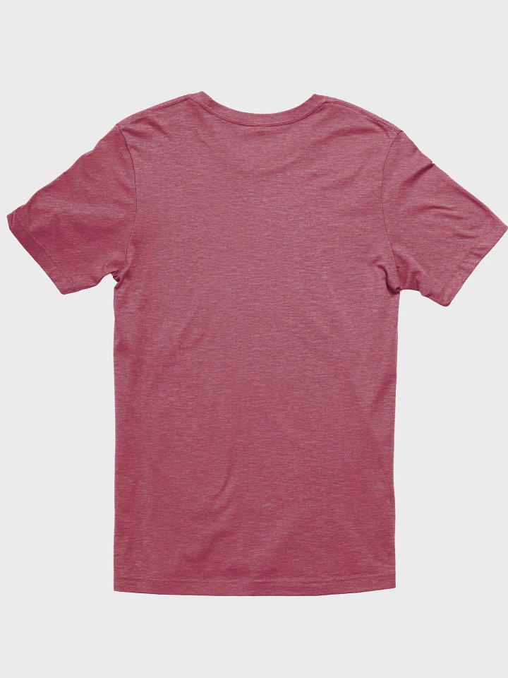 Perfectly Flawed - Recovving Perfeeconist T-Shirt (Bright w/white) product image (2)