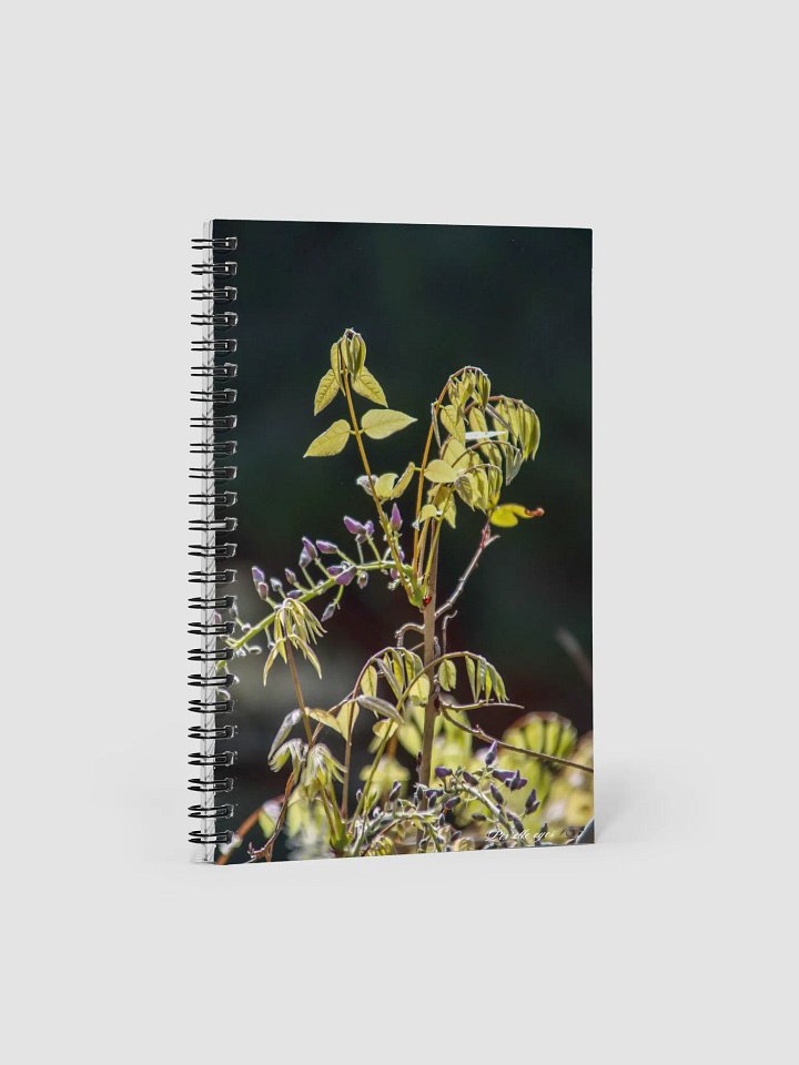 📓 Notebook Collection PURE – Jardin du Rayol – Glycine naissante product image (1)