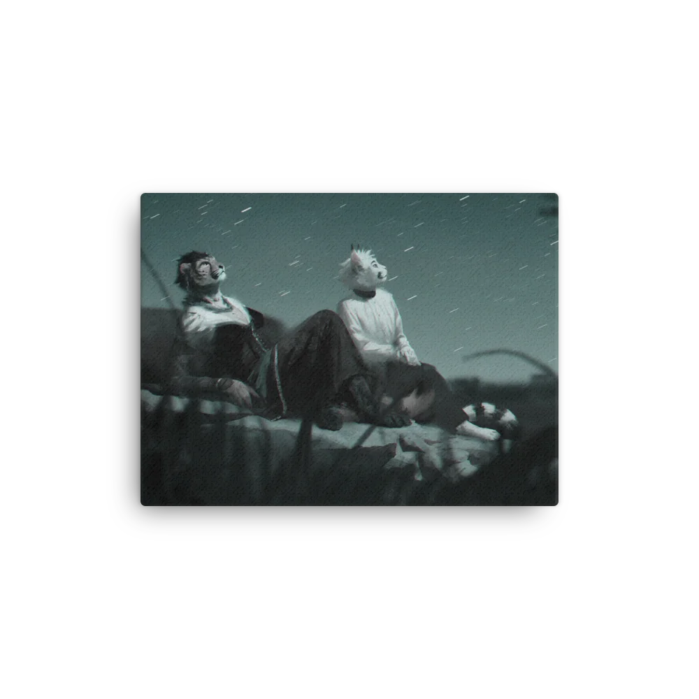 Thin Canvas Print - Stargazing product image (1)
