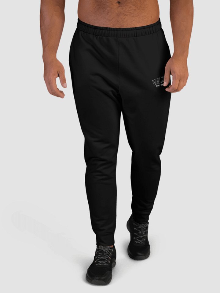 Active Style Joggers - Black product image (2)
