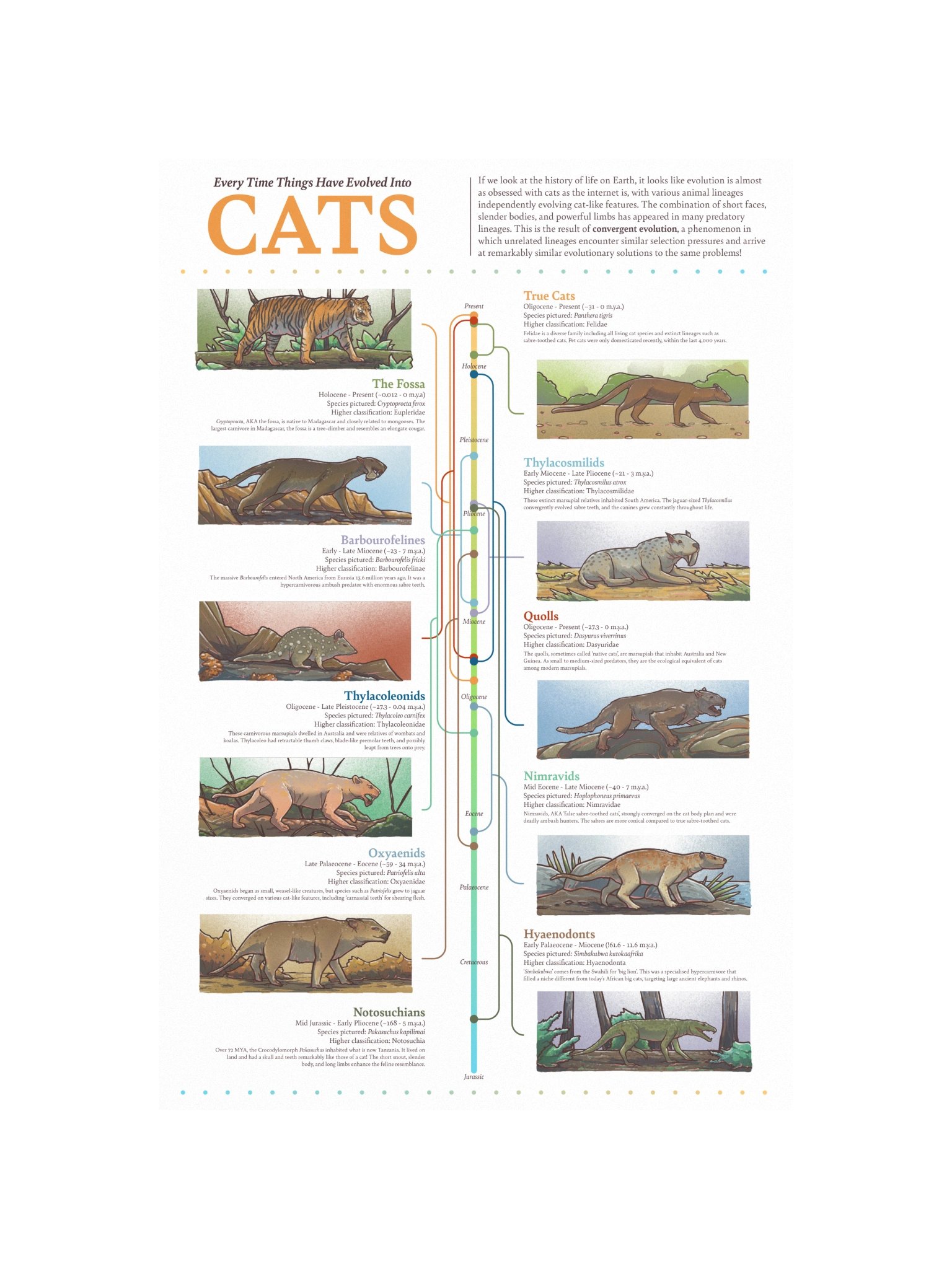 Cat Convergence Poster product image (4)