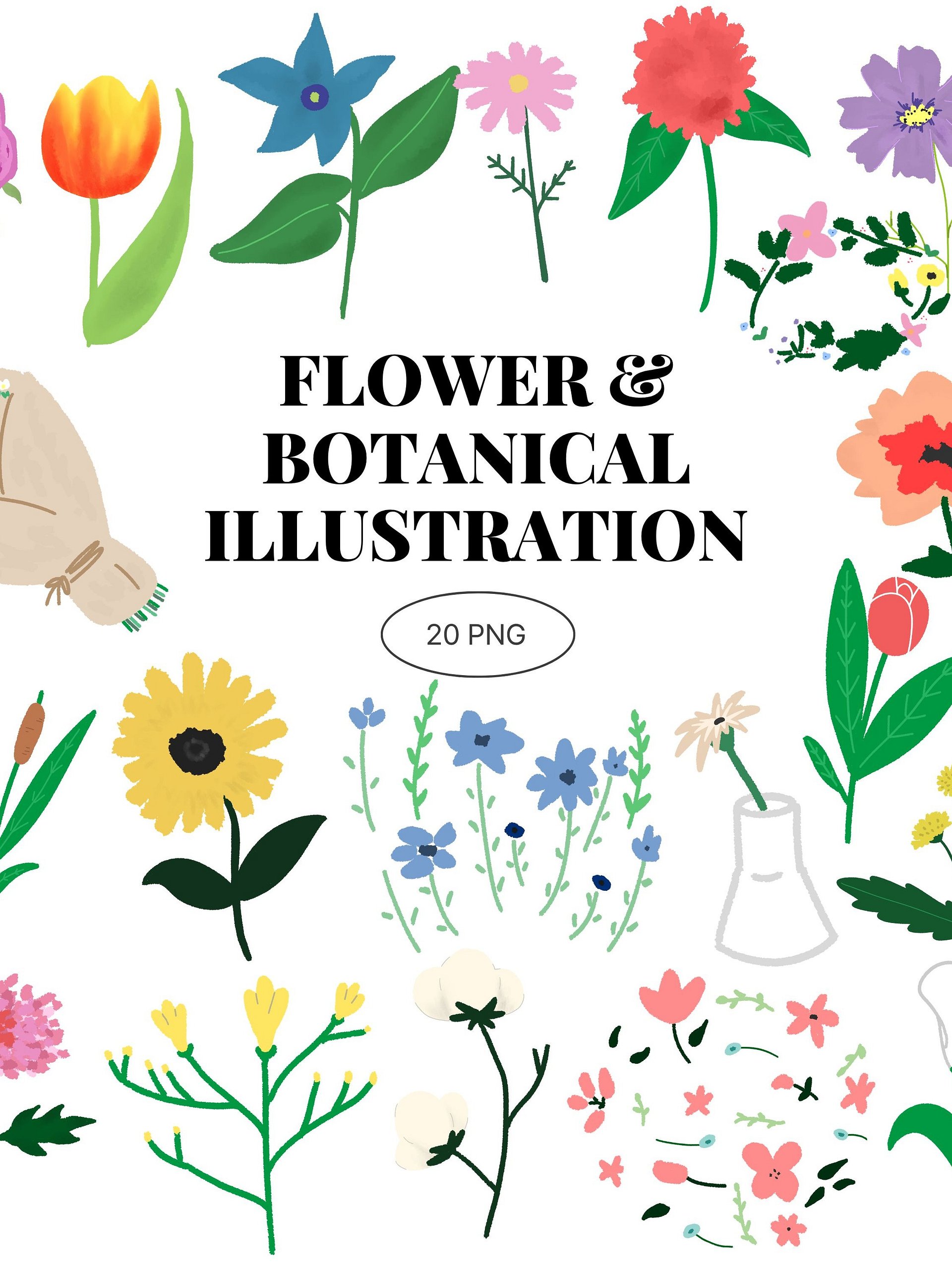 20 Hand-Drawn Flower & Botanical PNG Clipart Bundle product image (1)