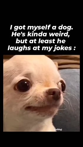 🤣Follow this page for more evil and hilarious memes and join the future global meme empire, before it’s too late and this pag...