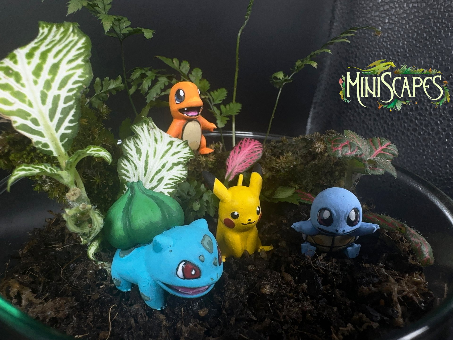 Mediumscape - Poke - The Original Starters product image (2)