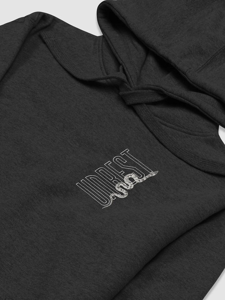 Unrest GV Hoodie (Temp) product image (2)