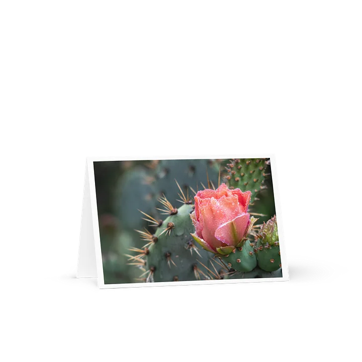 Flowering Cactus - Greeting Card product image (1)