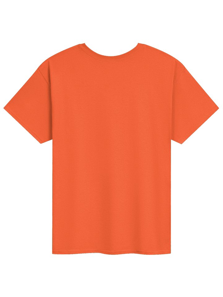 SALTYCAKE ORCHARD T-SHIRT [Orange] product image (2)