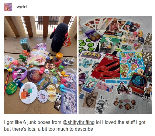 ShiftyThrifting Junk Box product image (5)