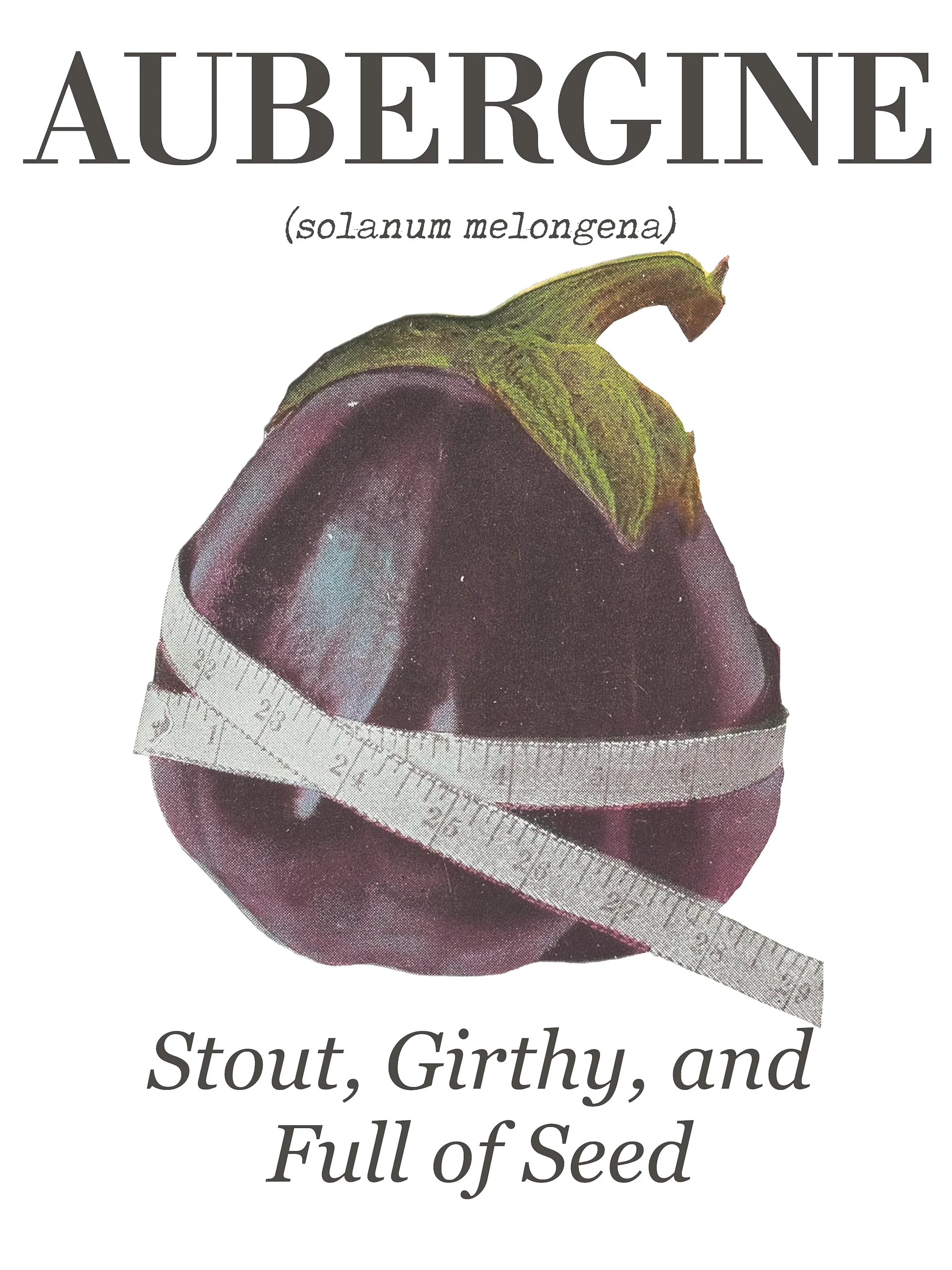 The "Aubergine" Botanical Tea Towel product image (3)
