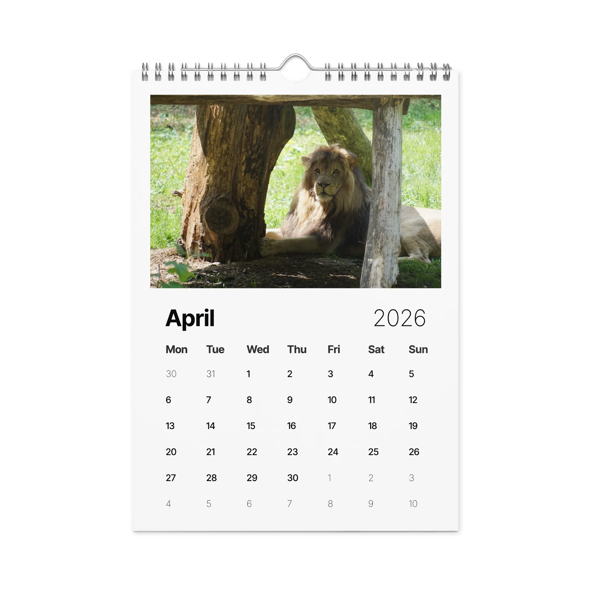One Year, Twelve Animals: ESE 2026 Wall Calendar product image (1)