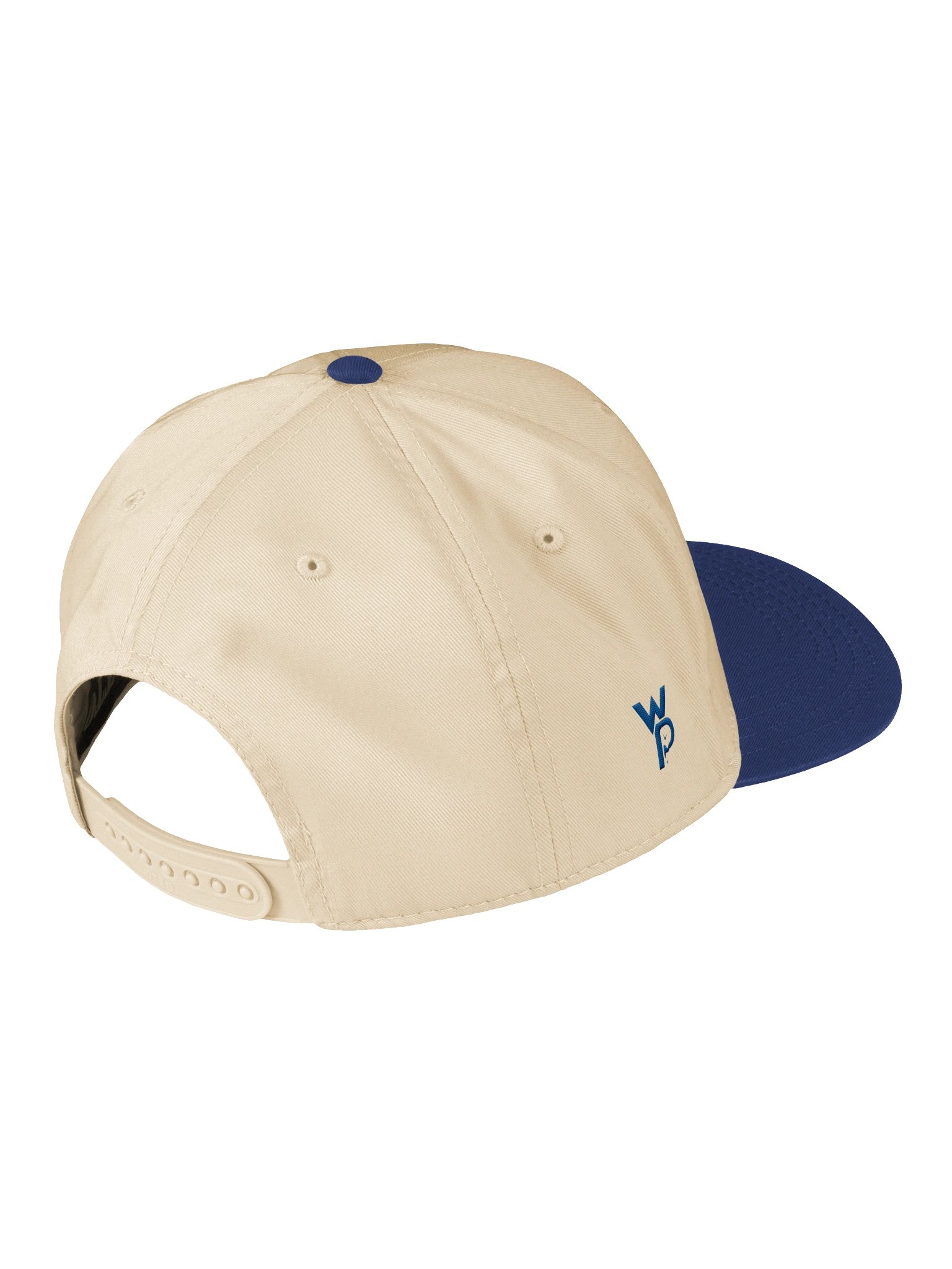 Upside Down Wasted Potential Hat product image (4)