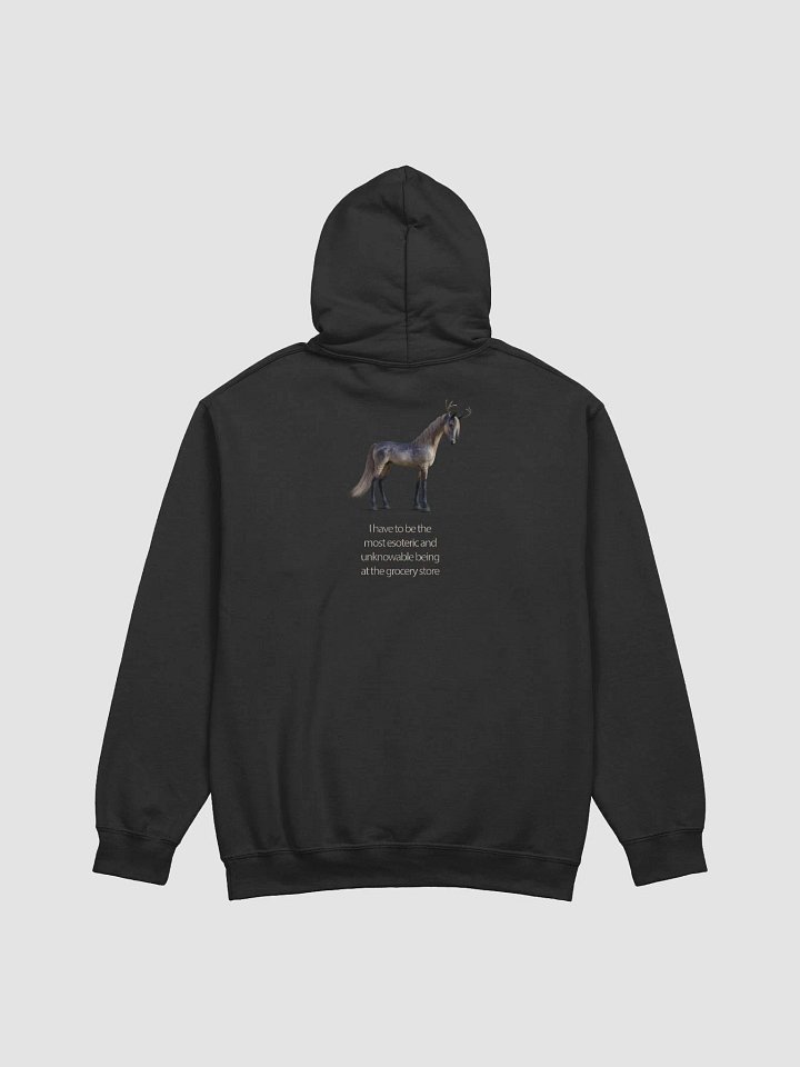 'I Have To Be The Most Esoteric Being...' Hoodie product image (1)