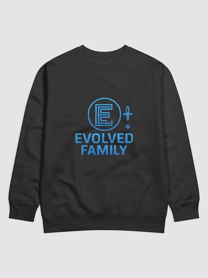 Evolving Logo Premium Sweatshirt product image (4)