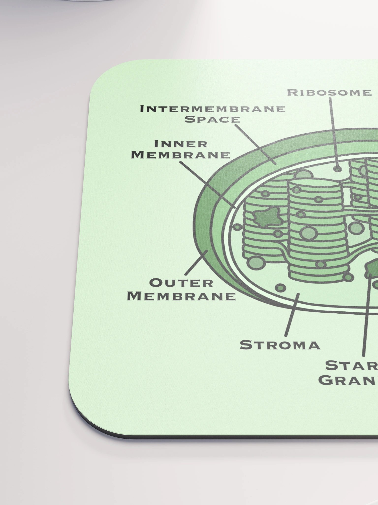 Chloroplast Diagram Mousepad product image (6)
