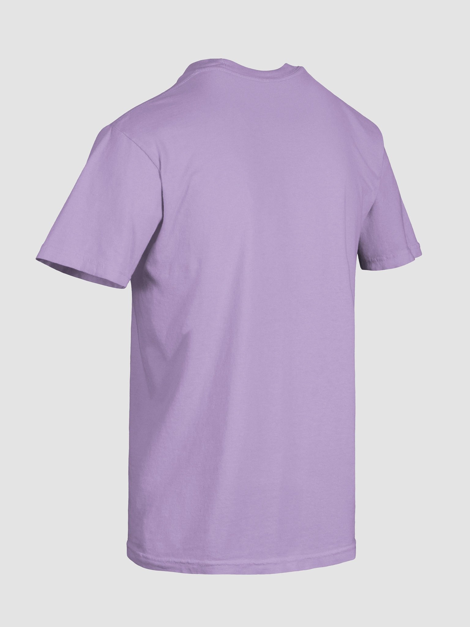 valley icon tee product image (10)