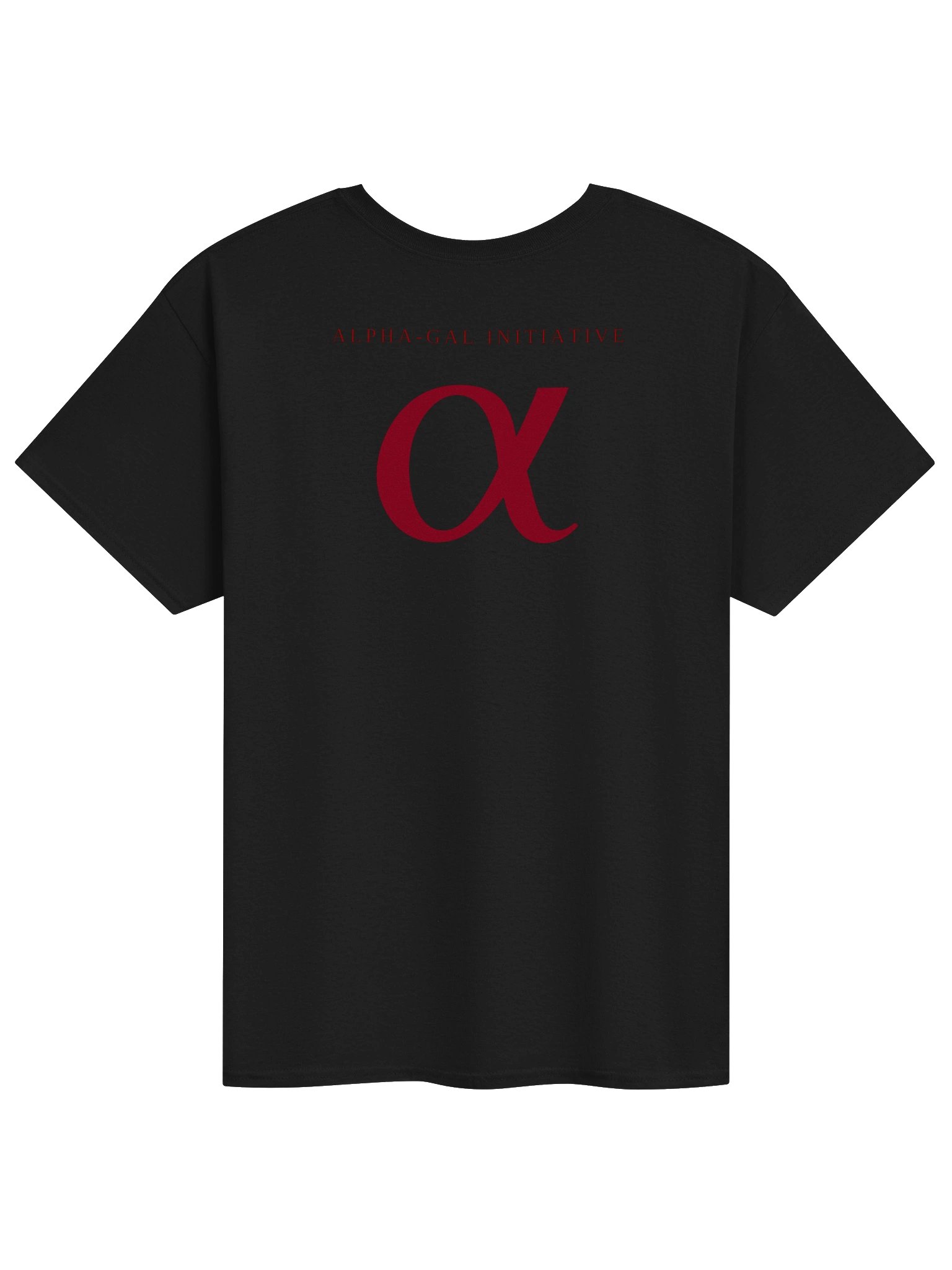 Black / Oxblood Heavyweight T-Shirt product image (2)