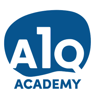 A1Q SOLUTIONS LLC