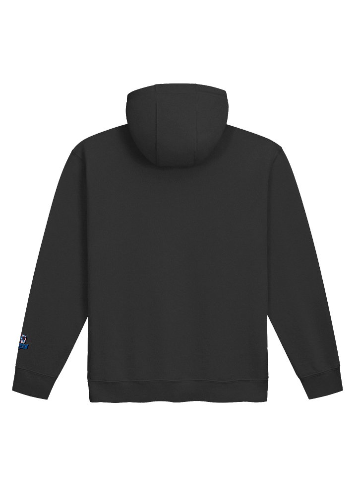 Patriot Shield Premium Hoodie product image (7)