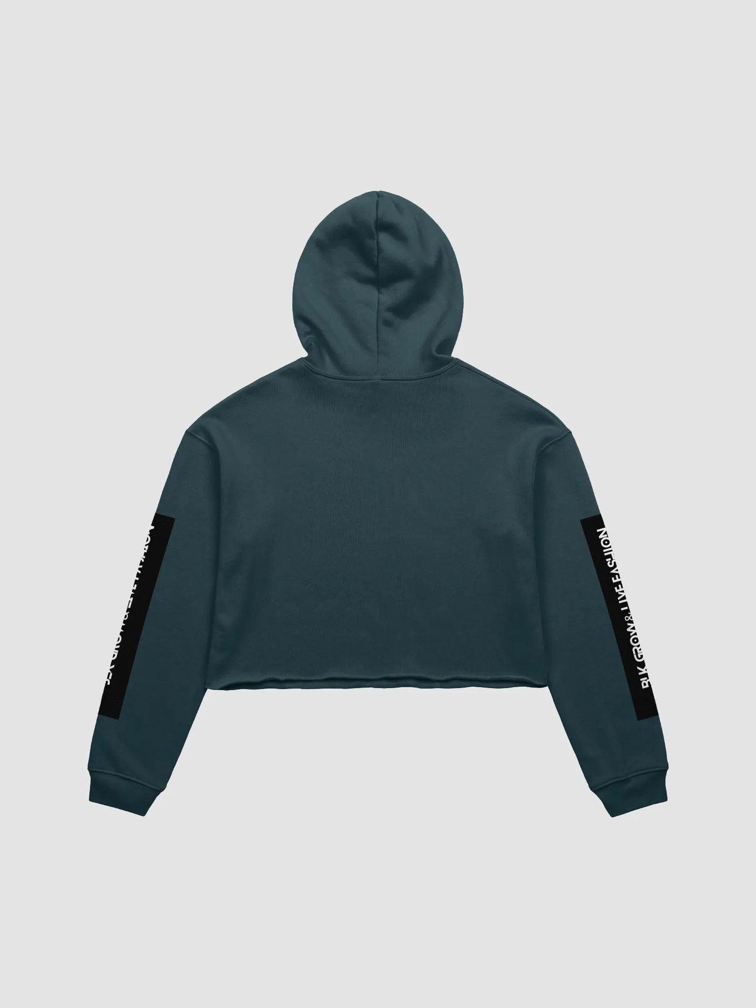 teddy skate life product image (10)